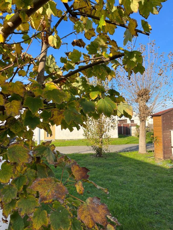 Vakantiehuisje38 Koksijde Dış mekan fotoğraf