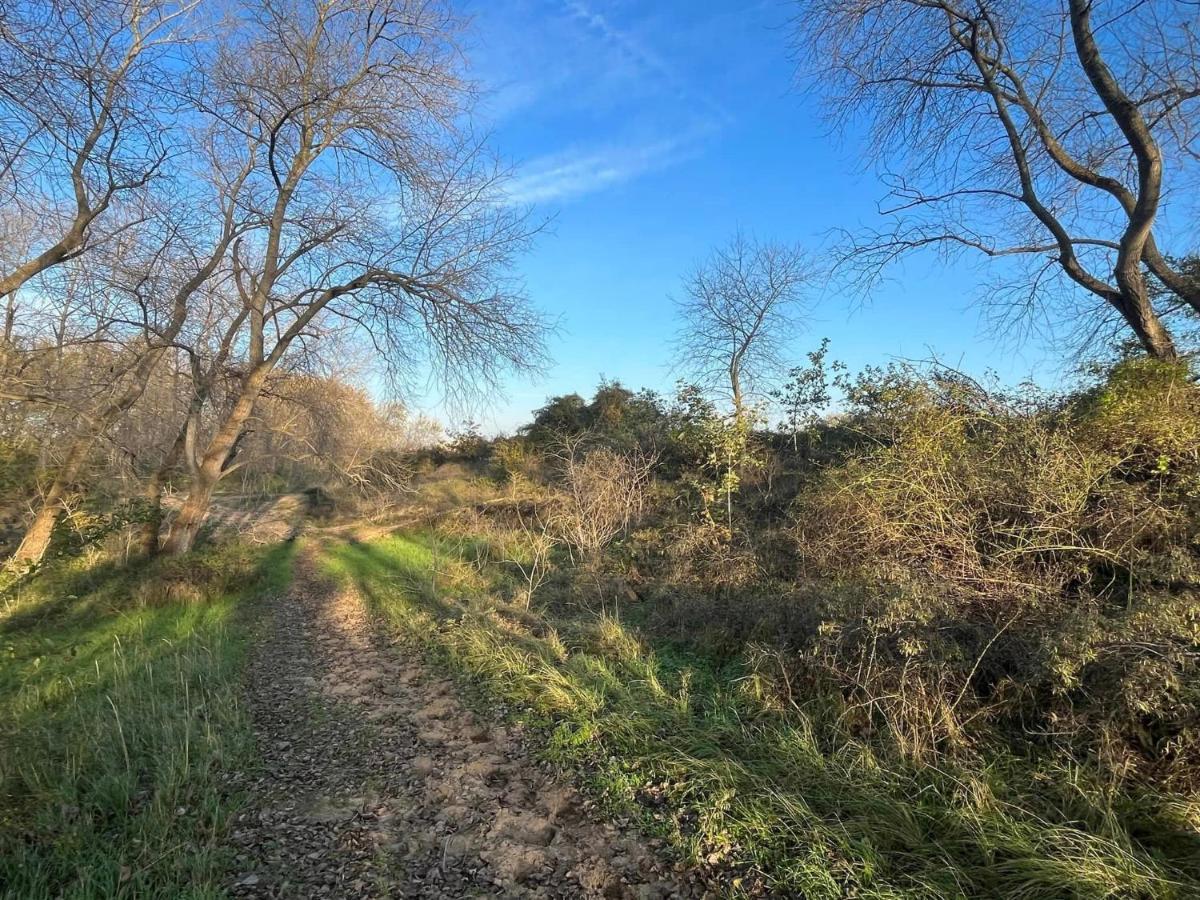 Vakantiehuisje38 Koksijde Dış mekan fotoğraf