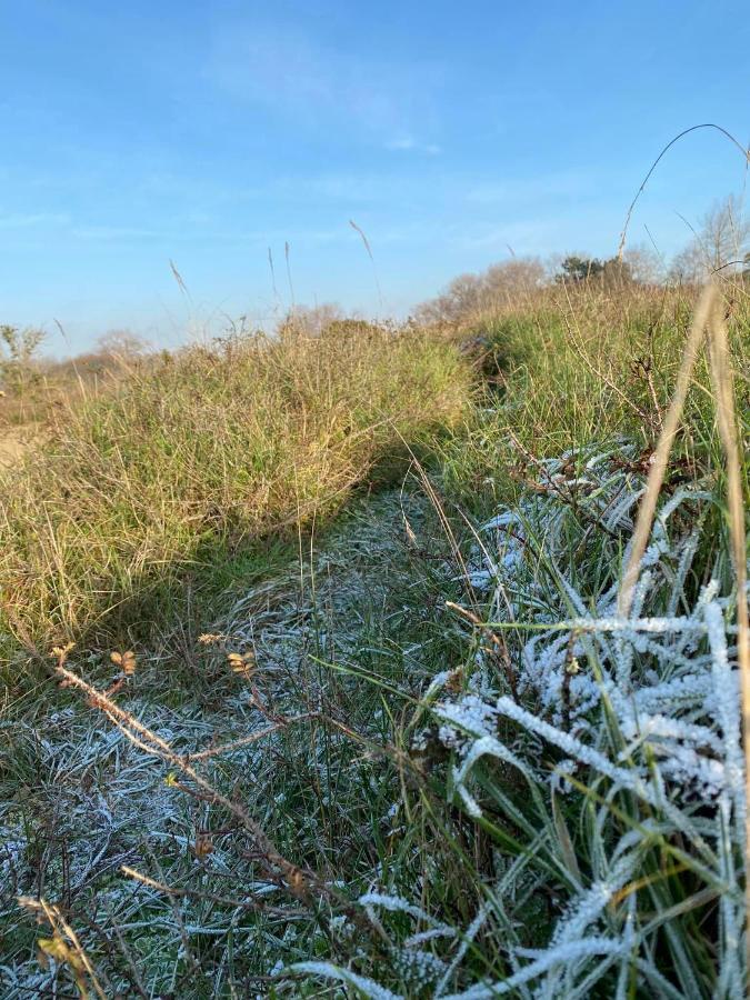 Vakantiehuisje38 Koksijde Dış mekan fotoğraf